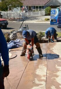 Dependability & Professionalism