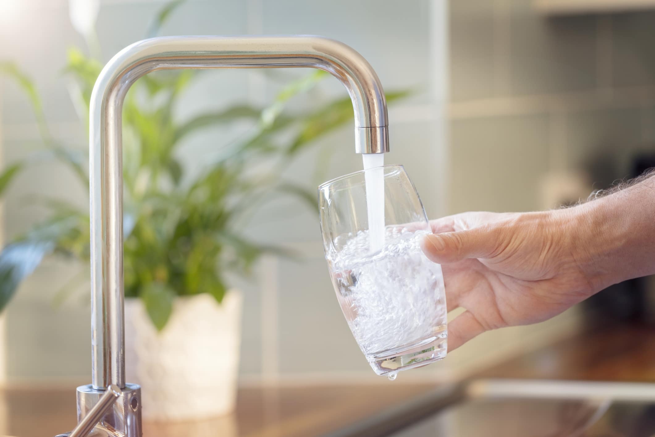 Top Water Filtration Services in Las Vegas